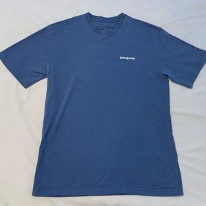 patagonia tee